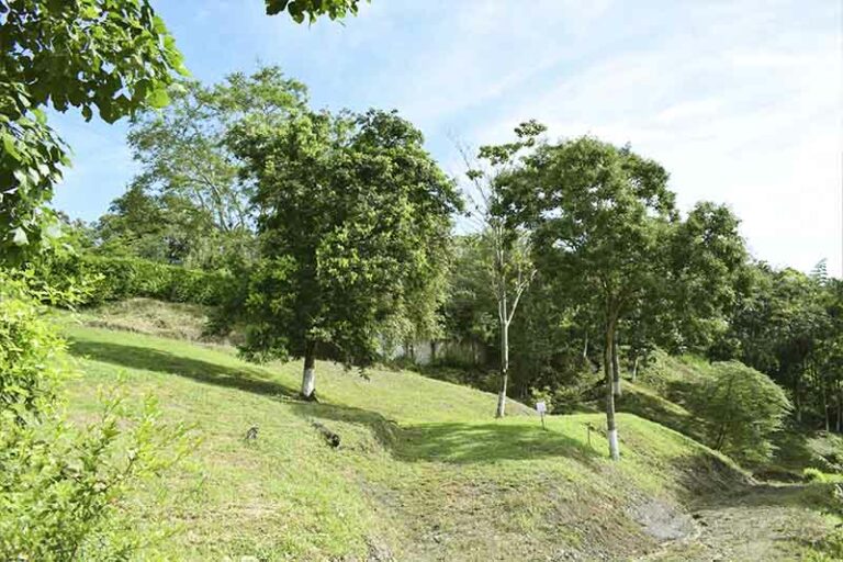 Lotes El Edén Villeta
